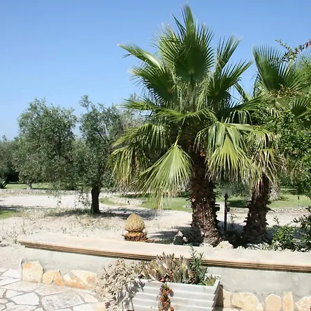 Donatella סנט'אנדראה